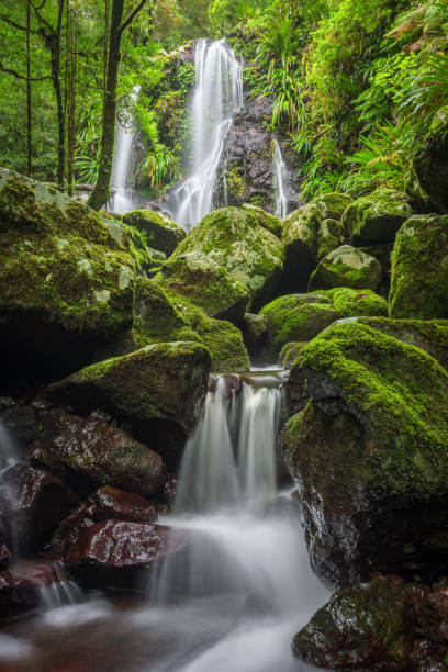 istock Waterfalls in Lamington NP 1444613880