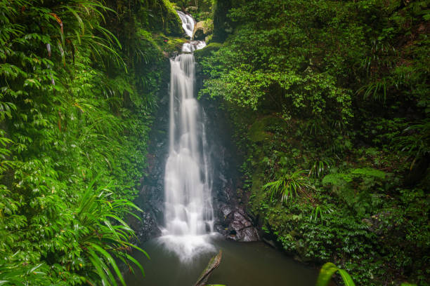 istock Waterfalls in Lamington NP 1444613920