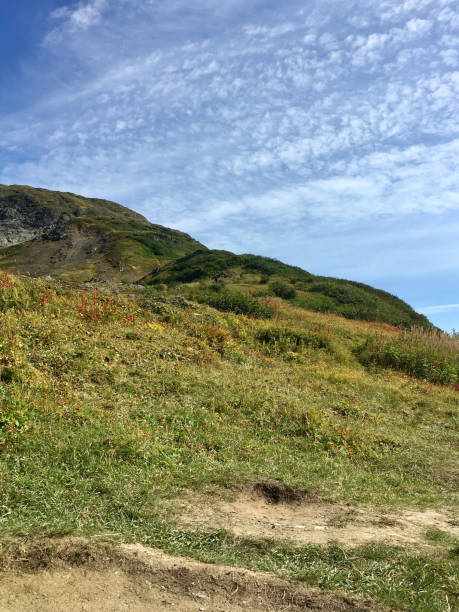 istock blue skies Mountain View white clouds 1444616536