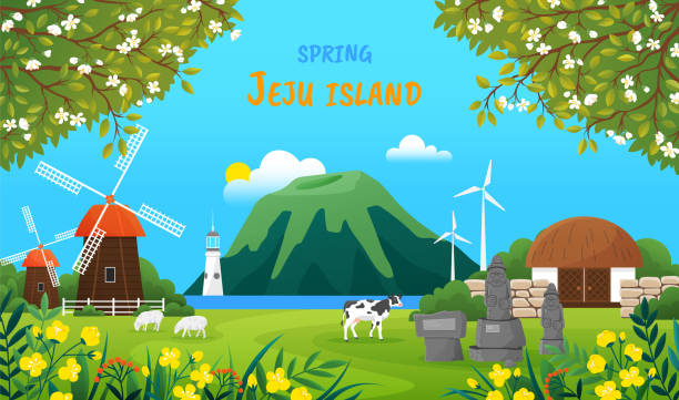 아름다운 봄 시즌 풍경. 한국 제주의 수확 시간. 섬의 자연과 건축 - 제주도 stock illustrations