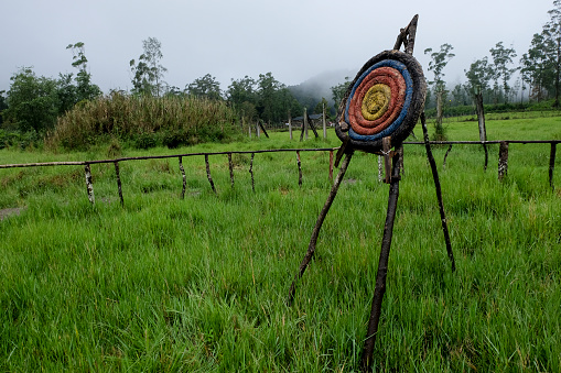horse bow traditional target board