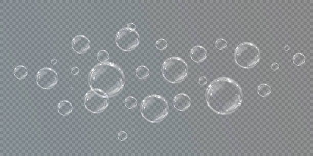 현실적인 비누 거품 수집. 거품은 투명한 배경에 있습니다. 벡터 비행 비누 거품. 버블 png 워터 글라스 버블 현실적인 png - water drop bubble bubble wand stock illustrations