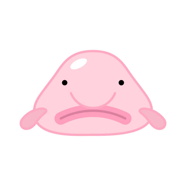 ilustrações, clipart, desenhos animados e ícones de clpart vetorial bonito do blobfish - deep sea diving illustrations