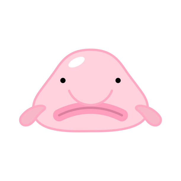 Cute Blobfish Vector Clipart Stock Illustration - Download Image Now - Blob,  Fish, Anthropomorphic Face - iStock