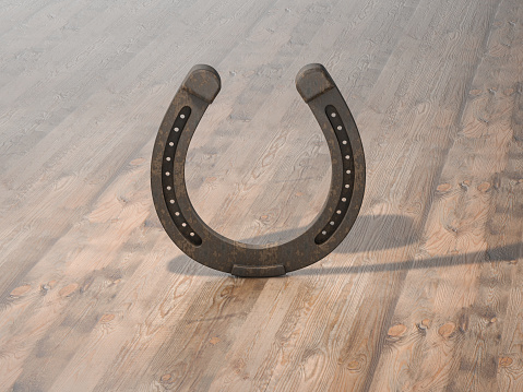 Shot of riding tack hanging from a wall