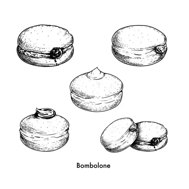 Vector illustration of Hand drawn sketch style Italian Bombolone set. Baked with chocolate and white cream inside. Traditional Italian desserts. Best for packaging and menu designs. Vector illustrations.