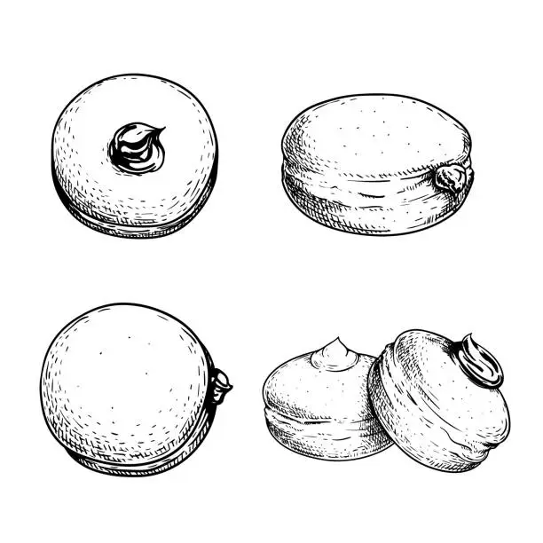 Vector illustration of Hand drawn sketch style Italian Bombolone set. Baked with chocolate and white cream inside. Traditional Italian desserts. Best for packaging and menu designs. Vector illustrations.