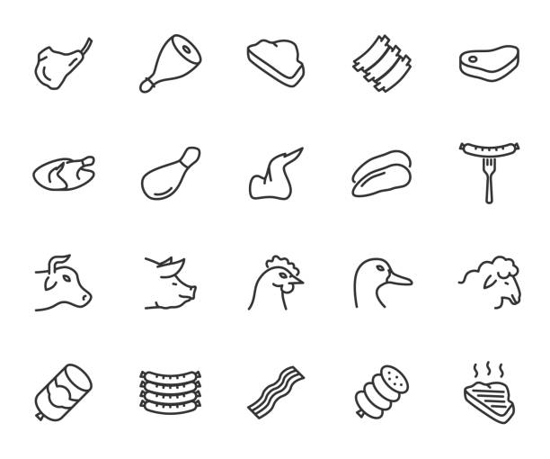 ilustrações de stock, clip art, desenhos animados e ícones de vector set of meat line icons. contains icons beef, pork, chicken, duck, lamb, bacon, sausage, ham, rib, steak and more. pixel perfect. - fillet