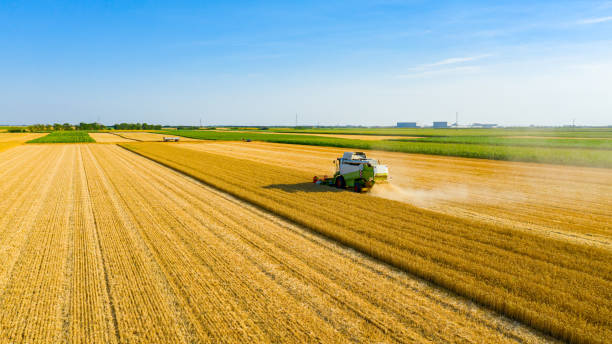istock Above view on combine, harvester machine, harvest ripe cereal 1444660101