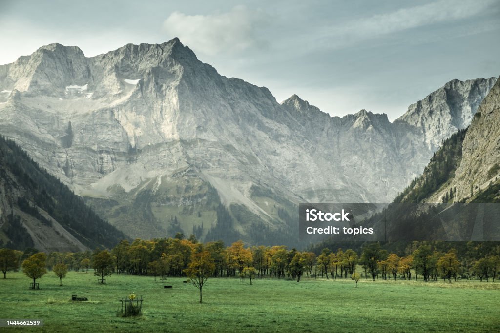 Karwendel Mountains on the Ahornboden Herbstlandschaft mit Bergahorn Austria Stock Photo