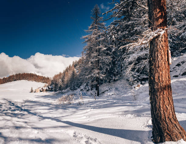 istock autumn in the mountains 1444665068