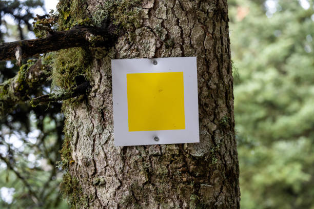 istock Metal hiking sign placed on a tree in the forest. 1444674478