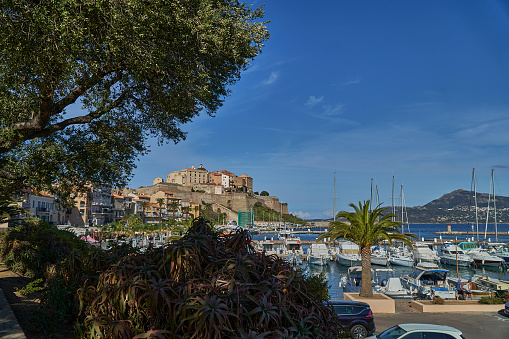 old town of Calvi on Corsica sitting on a hill over the beach of the mediterranean sea