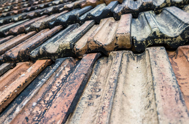 istock Old Roof Tiles On A House 1444684712