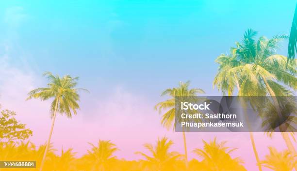The Holiday Of Summer Holiday Colorful Theme With Palm Trees Background As Texture Frame Background Stock Photo - Download Image Now