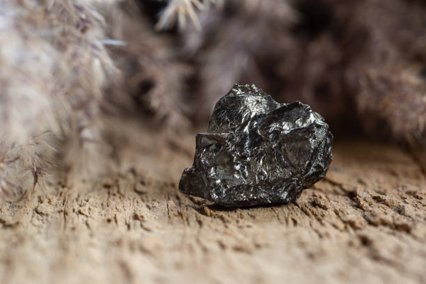 istock Natural Black Hard Coal Rock Sample on Wood 1444692731