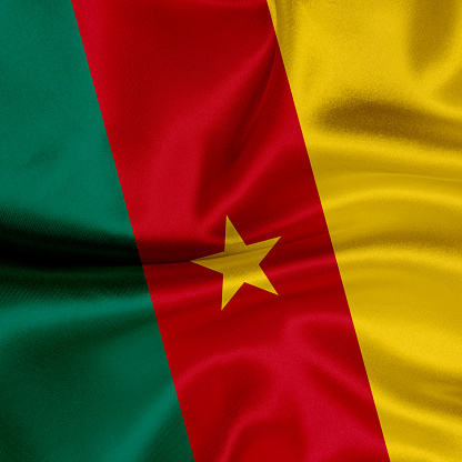 Flag of Cameroon blowing in the wind. \nFull page Cameroon flying flag.