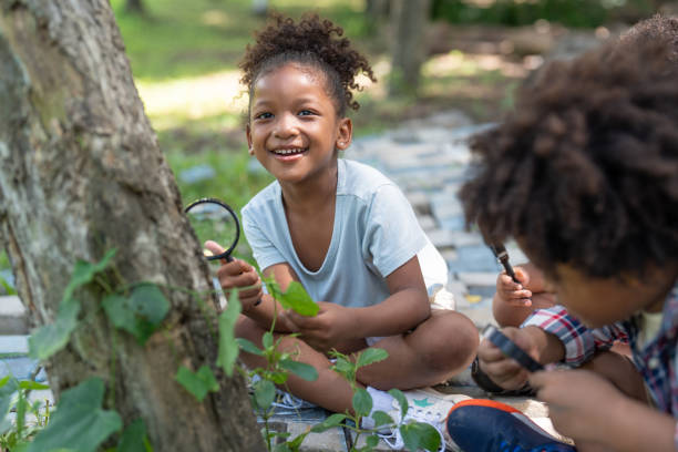 bambine afroamericane con amici che esplorano e guardano insetti sull'albero con la lente d'ingrandimento tra l'apprendimento oltre la classe. concetto di educazione all'aperto. - children only adventure exploration education foto e immagini stock