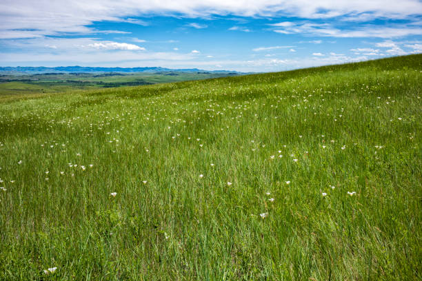 campo de batalla de little bighorn, monumento nacional, un lugar de reflexión - cemetery grave military beauty in nature fotografías e imágenes de stock