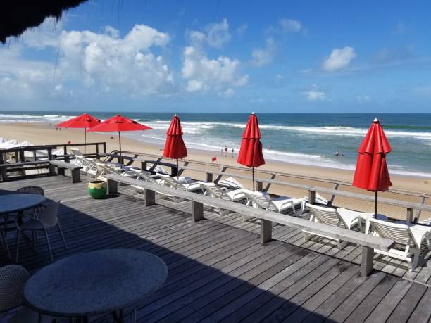 istock Beautiful day at the beach 1444701417