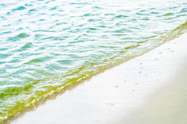 natural background, sandy shore and water closeup