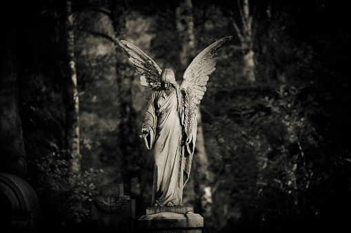Old angel statue in a cemetery. Forest with birch trees in background