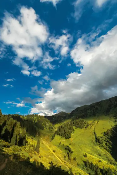 Photo of Summer Kimasar gorge with a view of Mount Furmanov. Popular weekend hiking route in Almaty mountains, vertical