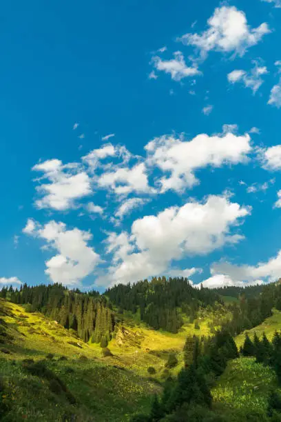 Photo of Summer Kimasar gorge with scenic blue sky. Popular weekend hiking route in Almaty mountains, vertical