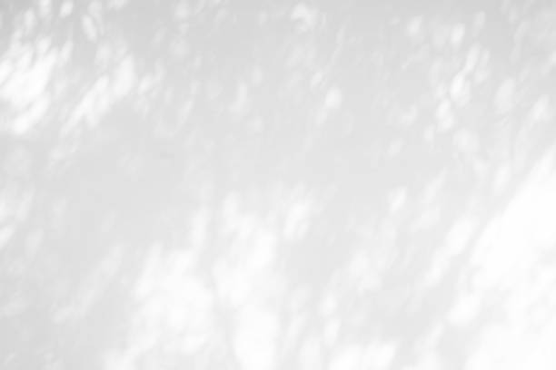 istock White Concrete Wall Texture Background with Light Bokeh and Shadow of Tree Branch on the Surface. 1444714717