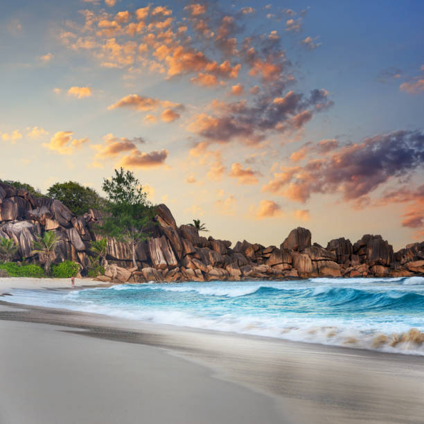 Seychelles is the most beautiful tropical islands of the world's in the Indian Ocean. Composite photo