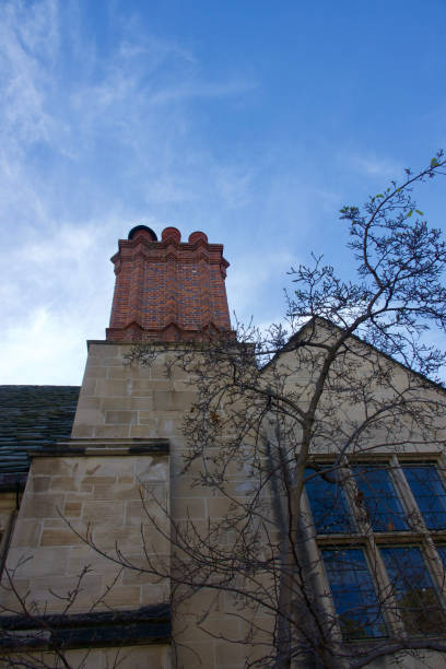 greystone mansion exterior details of the ornate chimneys - twisted tree california usa imagens e fotografias de stock