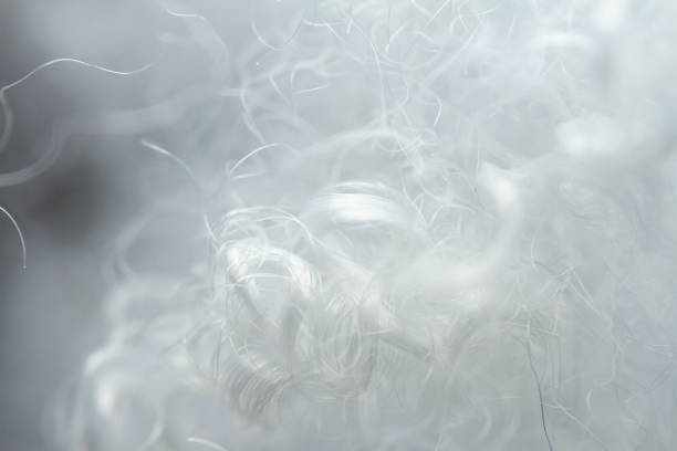 istock Extreme macro of polyester stable fiber 1444722701