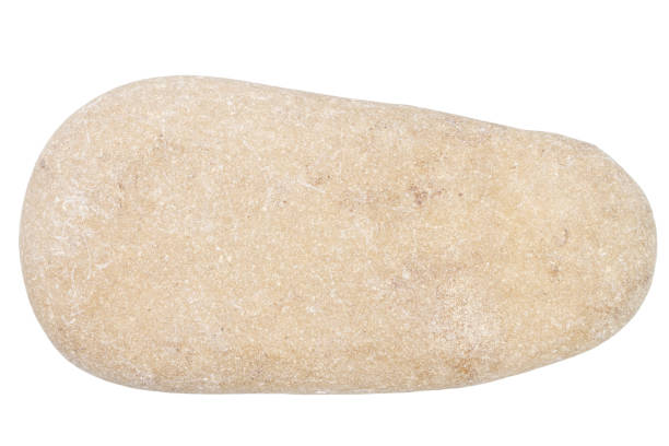 istock Top view of single beige pebble 1444723788