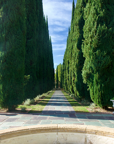 Paved walkway through the formal garden