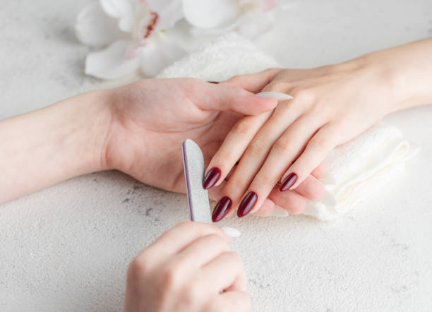 manos de una mujer joven con manicura roja oscura en las uñas - fingernail acrylic women beauty fotografías e imágenes de stock