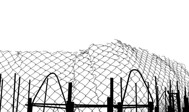 istock pattern or background of net isolated on white background. silhouette of a ripped metallic net.  wire fence made of thin wire. illustration. 1444727649