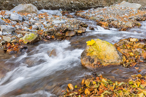 Headwaters of the Big Thompson River flowing through Rocky Mountain National Park in the beauty of an autumn morning