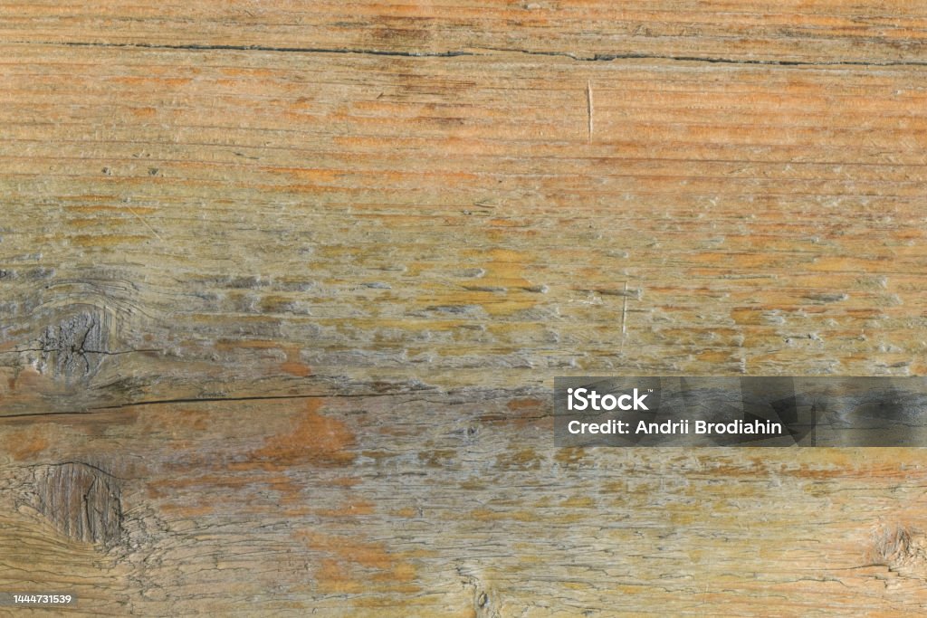 Texture Board Solid Boards Solid Wood Old Varnished Texture Boards Texture Background Stock ...