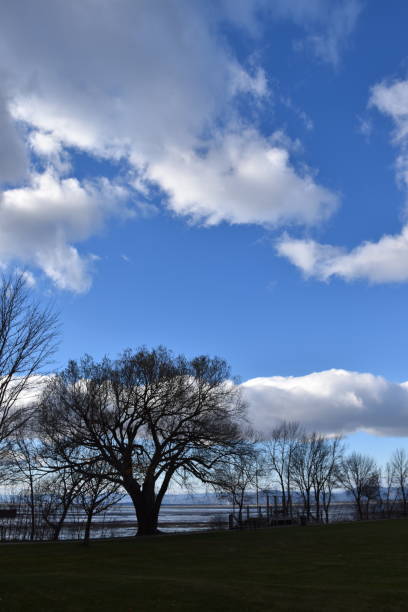 Un ciel bleu Le parc en hiver, Montmagny, Québec, Canada ciel bleu stock pictures, royalty-free photos & images