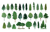 istock Hand drawn watercolor fir tree forest clipart collection 1444738366
