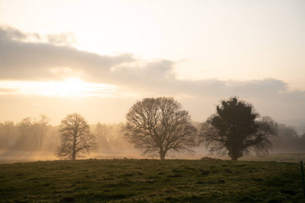 istock Winter sunset over fields, Denmead, Hampshire, UK 1444741232
