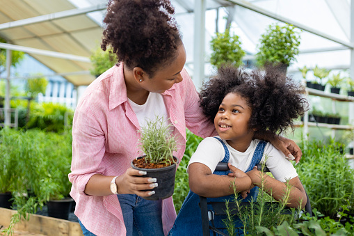 African mother and daughter is choosing vegetable and herb plant from the local garden center nursery with shopping cart full of summer plant for weekend gardening and outdoor