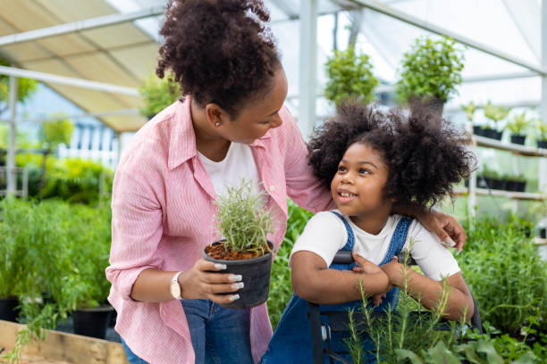 African mother and daughter is choosing vegetable and herb plant from the local garden center nursery with shopping cart full of summer plant for weekend gardening and outdoor concept African mother and daughter is choosing vegetable and herb plant from the local garden center nursery with shopping cart full of summer plant for weekend gardening and outdoor rosemary seedlings stock pictures, royalty-free photos & images