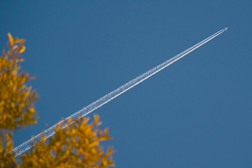 Sky sights, long white trace of flying plane in blue sky, tree leaves