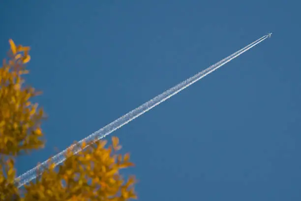 Sky sights, long white trace of flying plane in blue sky, tree leaves