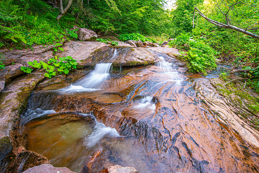 A mountain stream running through a lush green forest, Eastern Serbia