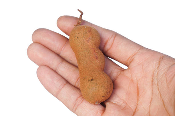 tamarind fruits isolated on white background.