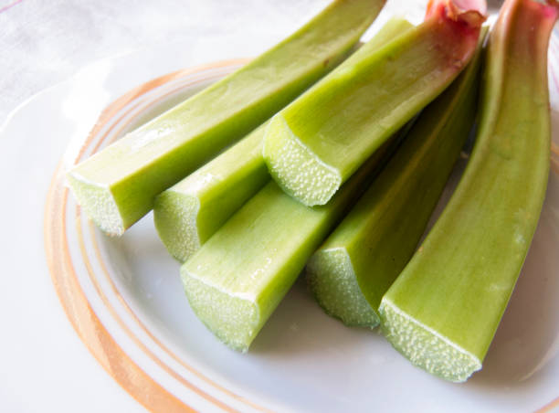 istock Fresh sliced  rhubarb  close-up 1444748910
