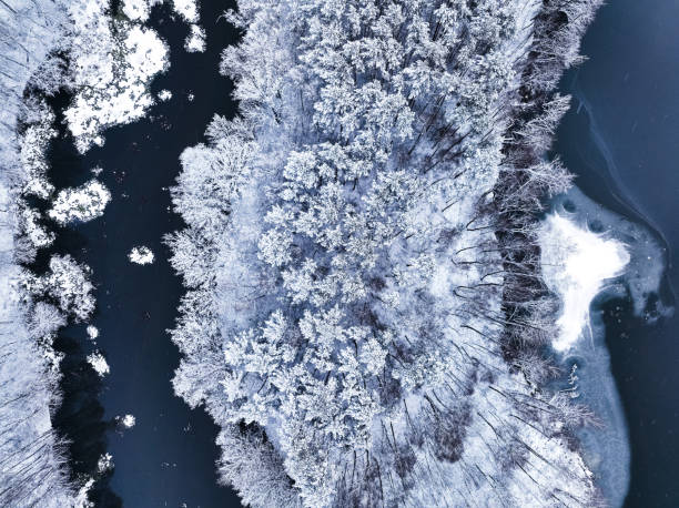 istock Aerial view of small river and white forest in winter. 1444754824