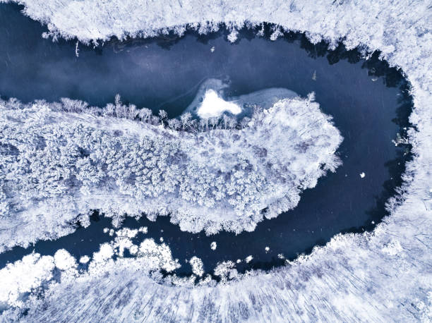 istock Aerial view of white forest and cold river in winter. 1444754868